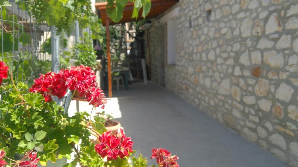 Guest house Stone House Himare
